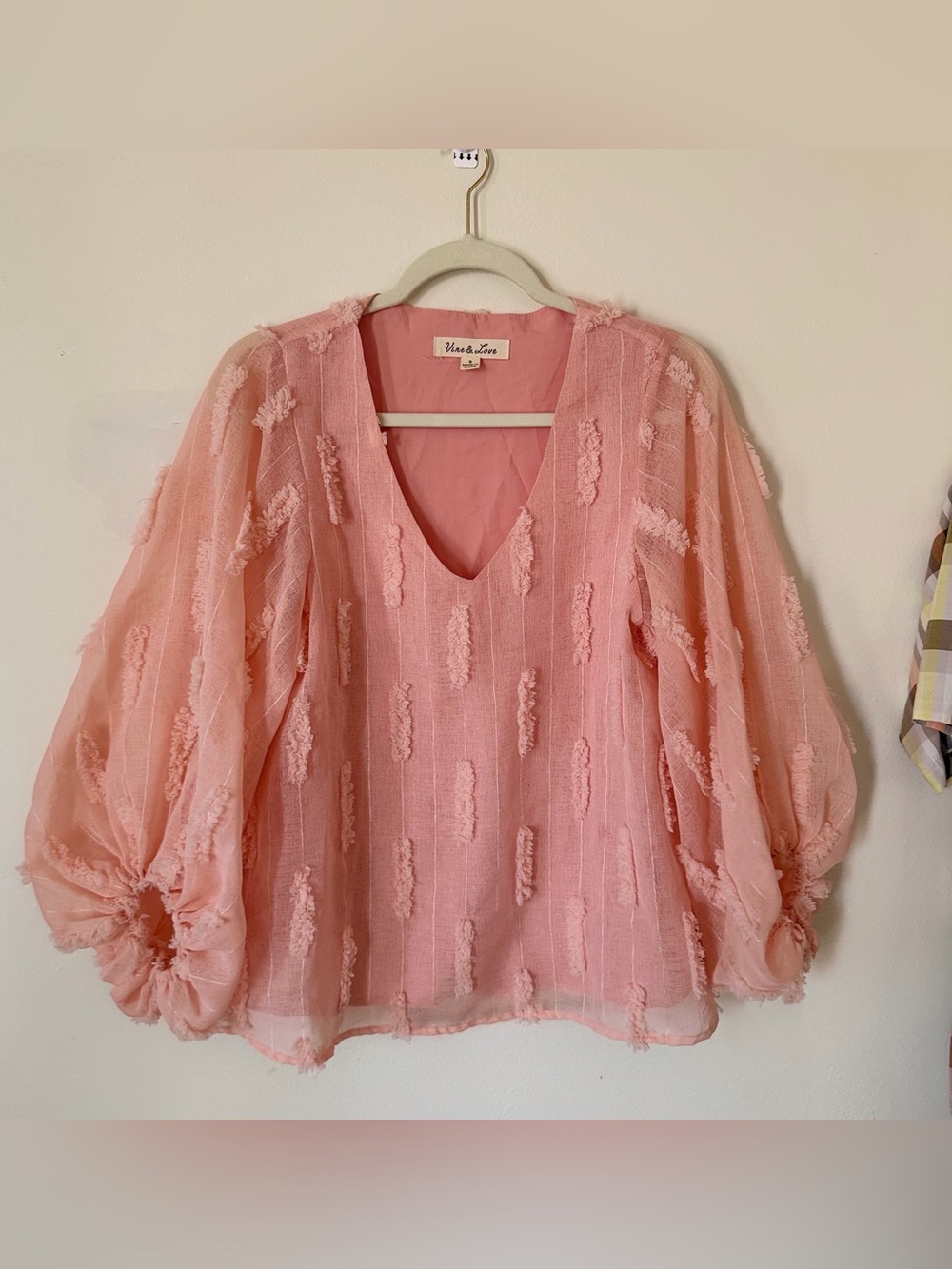Vine & Love Blush Pink V-Neck Sheer Balloon Sleeve Blouse